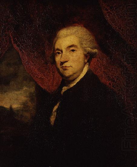 Sir Joshua Reynolds Portrait of James Boswell china oil painting image